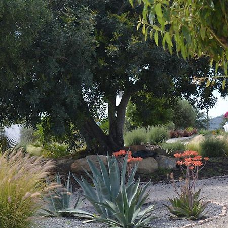 Quinta Luz Do Sol Bed & Breakfast Moncarapacho Luaran gambar