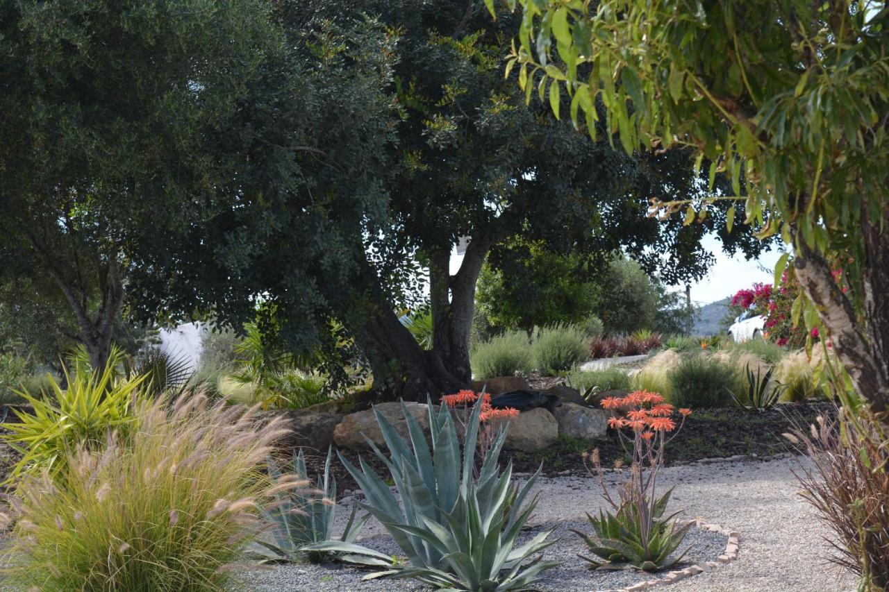 Quinta Luz Do Sol Bed & Breakfast Moncarapacho Luaran gambar